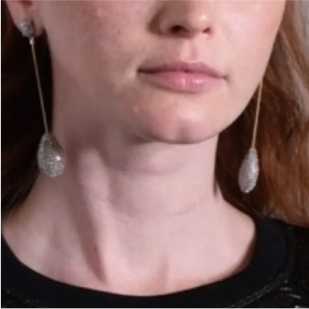 Alexis Bittar description elegant